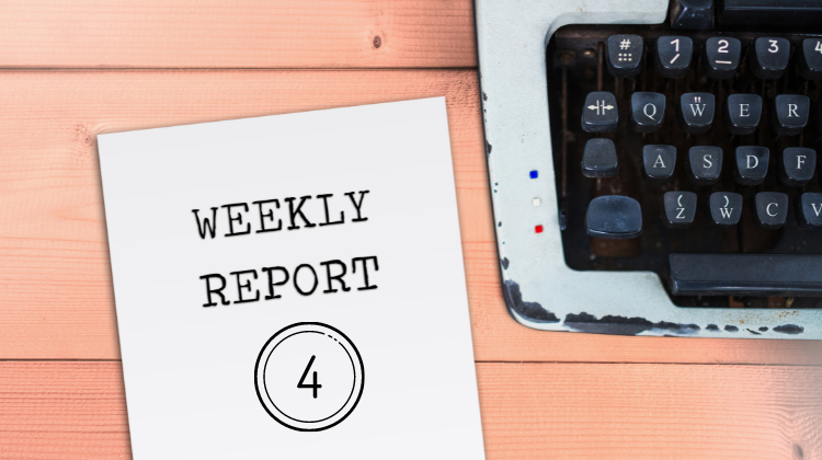 Coinnerd Weekly Report 4